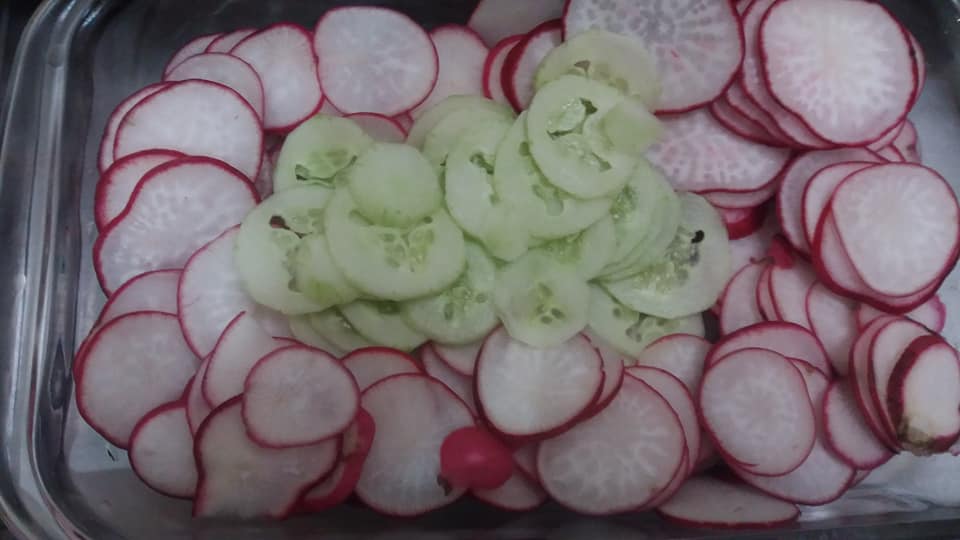 Rabanete e Pepino